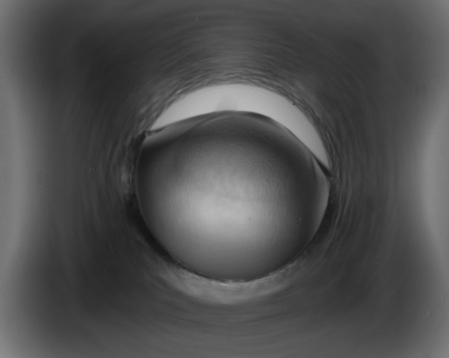 X0000083550039200703021703