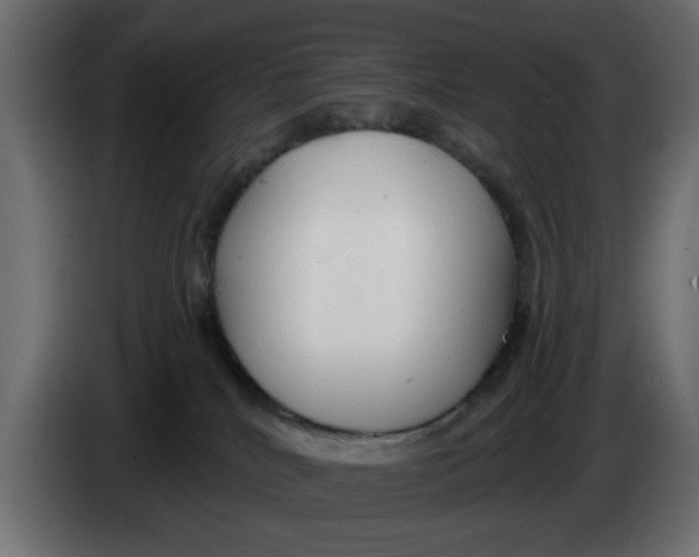 X0000083550040200703021703