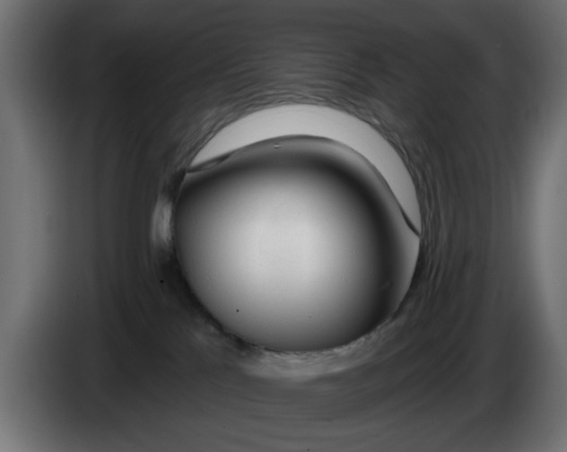 X0000083550041200703021703