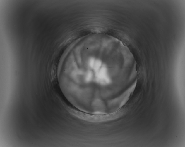 X0000083550043200703021703