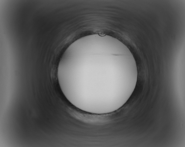 X0000083550044200703021703