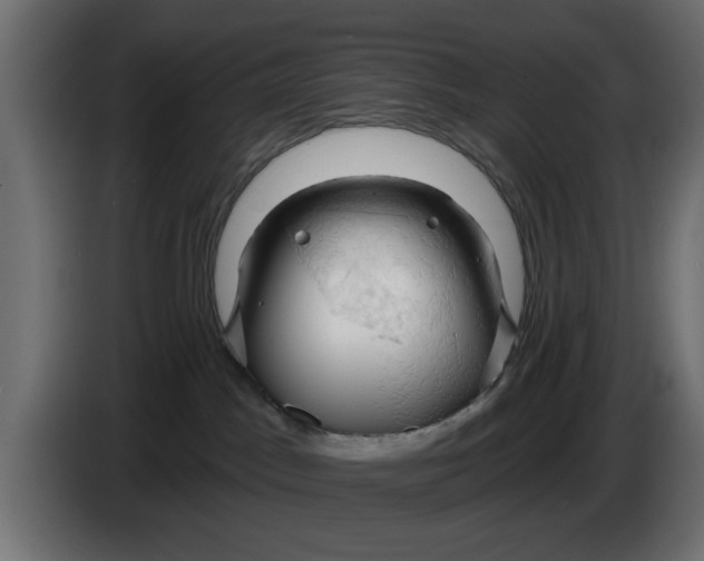 X0000083550045200703021703