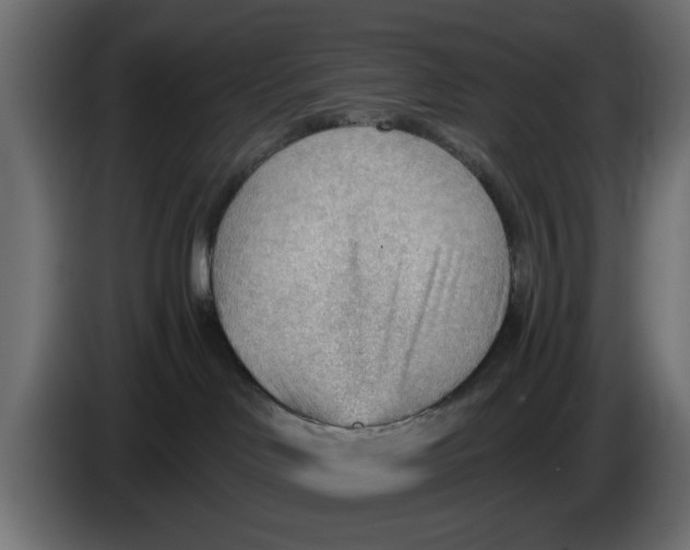 X0000083550046200703021703