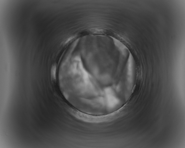X0000083550047200703021703