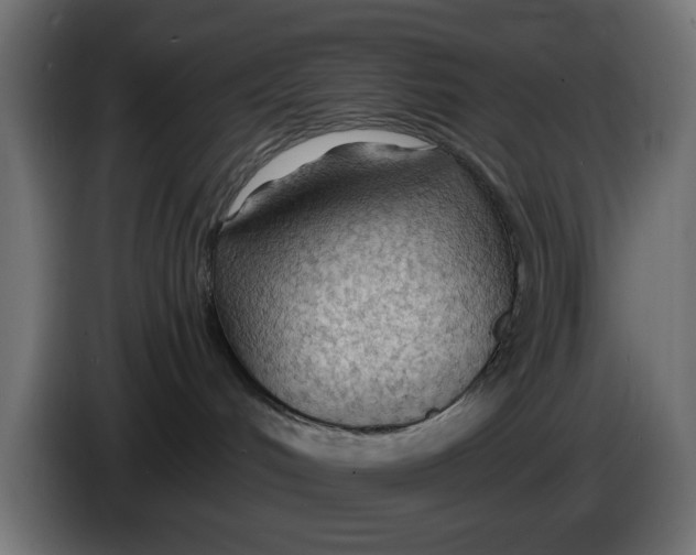 X0000083550048200703021703