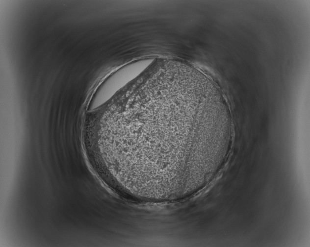 X0000083550049200703021702