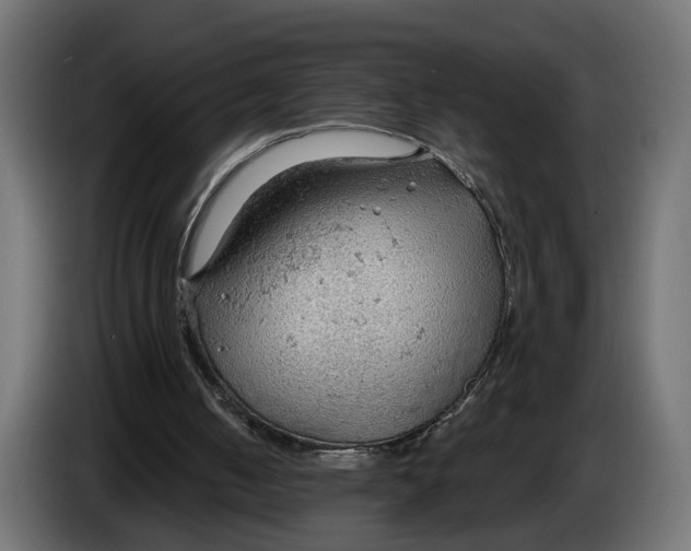 X0000083550050200703021702