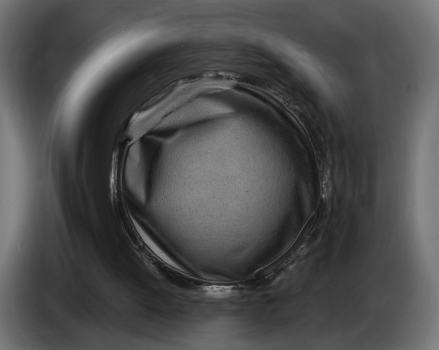 X0000083550052200703021702