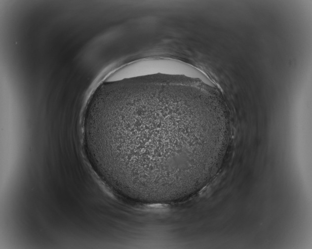 X0000083550053200703021702