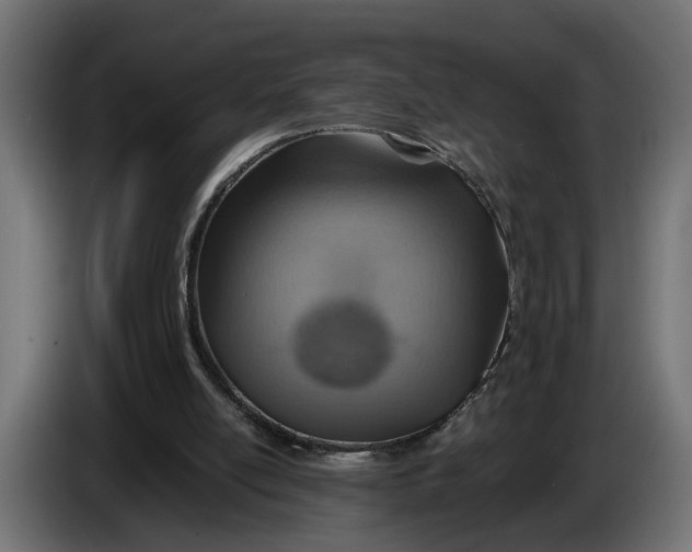X0000083550054200703021702