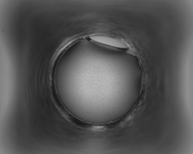 X0000083550055200703021702