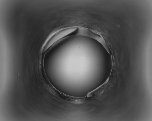 X0000083550056200703021702