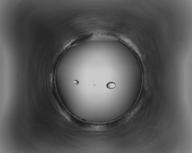 X0000083550057200703021702