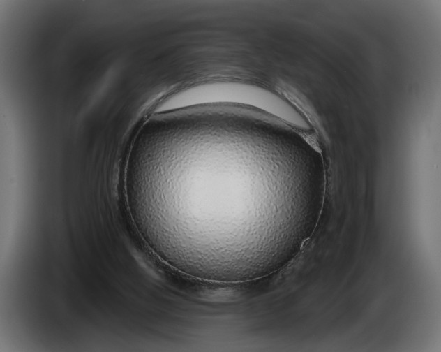 X0000083550058200703021702