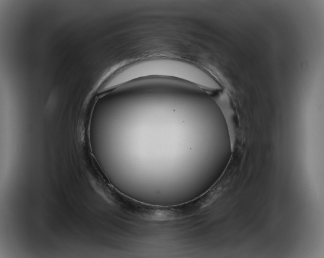 X0000083550060200703021702