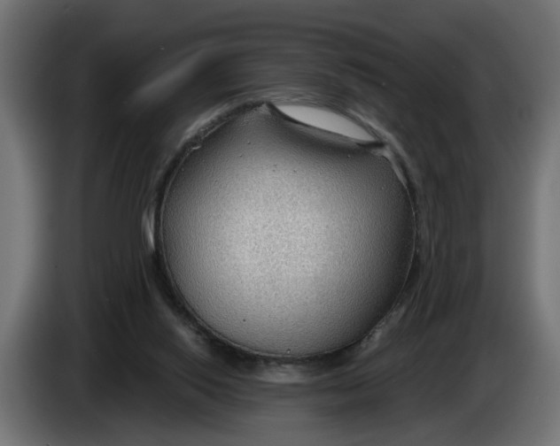 X0000083550062200703021702