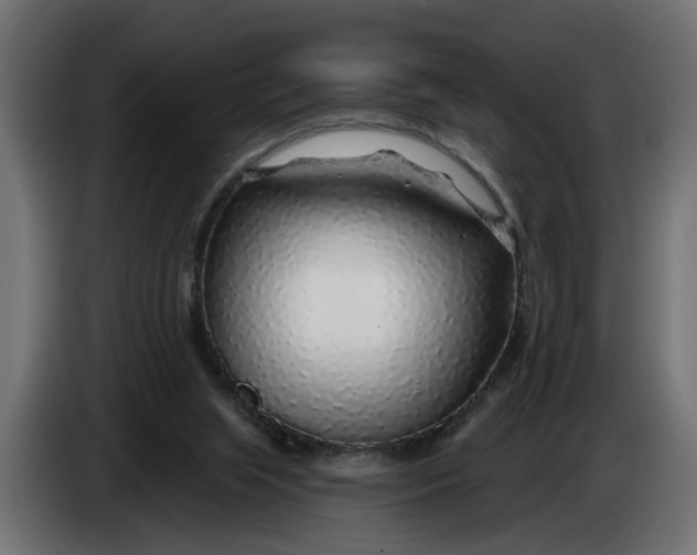 X0000083550063200703021702