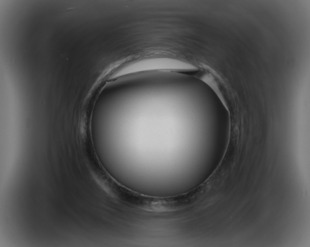 X0000083550064200703021702