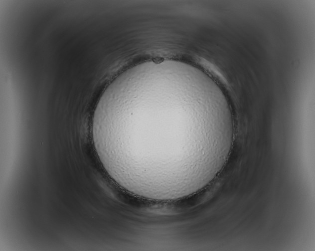 X0000083550065200703021702
