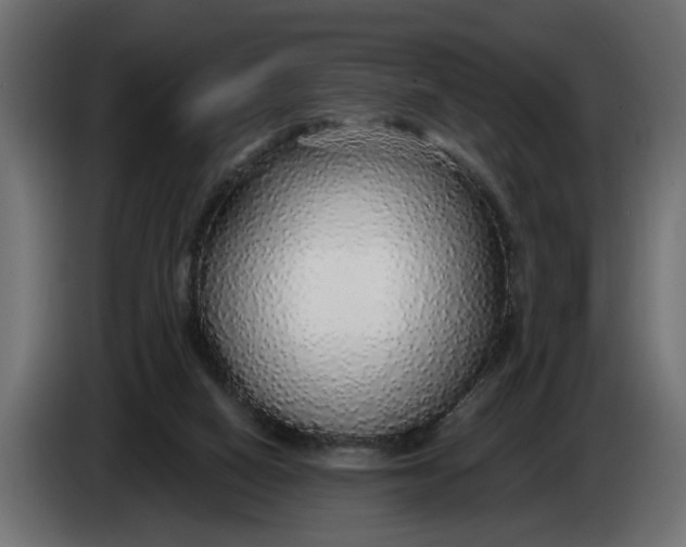 X0000083550066200703021702