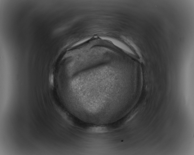 X0000083550067200703021702