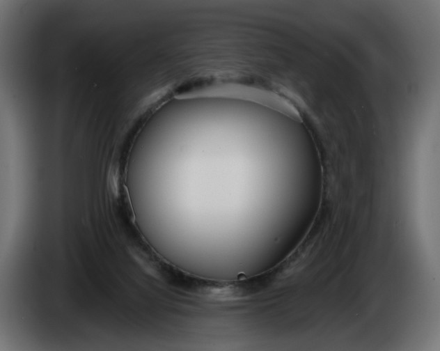 X0000083550068200703021702