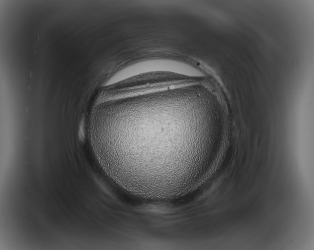 X0000083550069200703021702