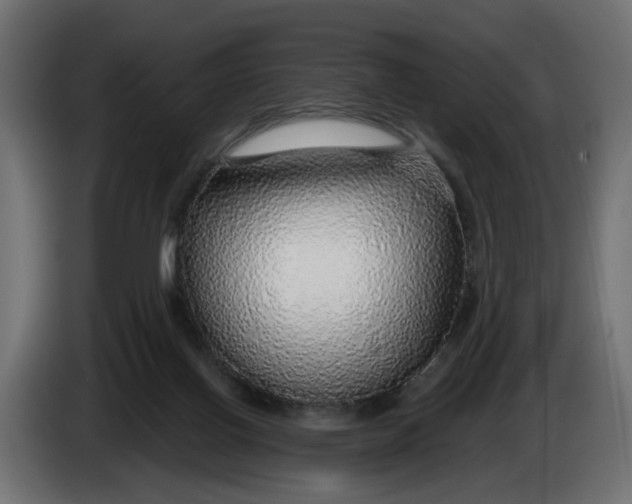 X0000083550070200703021702
