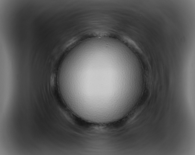 X0000083550071200703021702