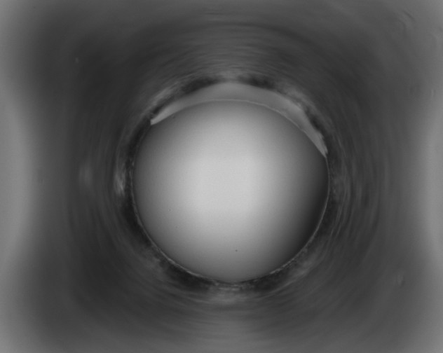 X0000083550072200703021702