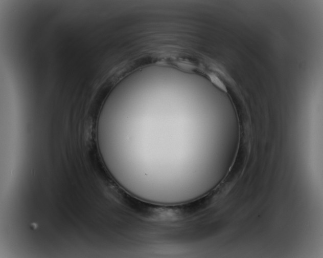 X0000083550073200703021702