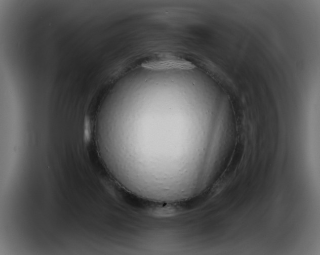 X0000083550075200703021702