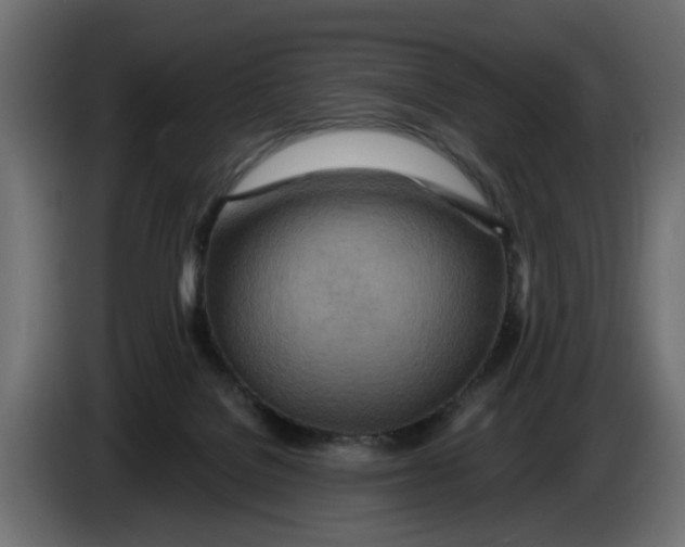 X0000083550076200703021702