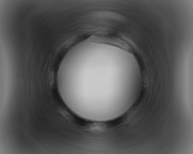 X0000083550077200703021702