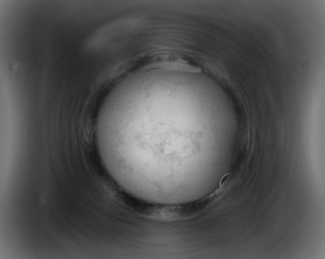 X0000083550078200703021702