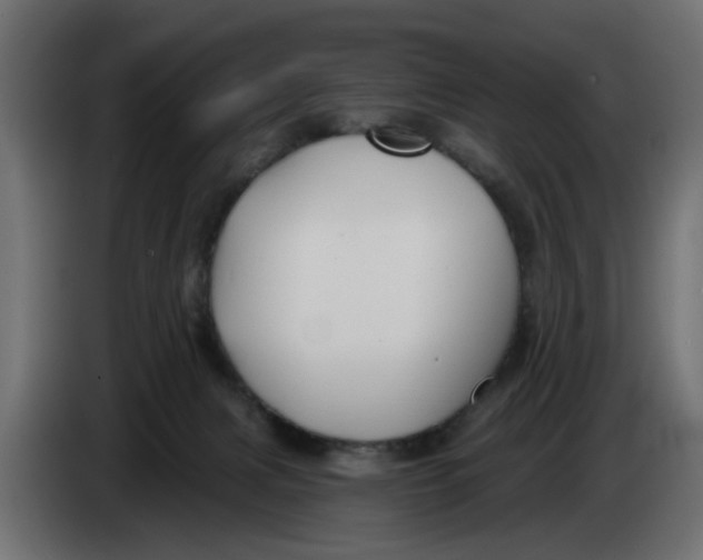 X0000083550079200703021702