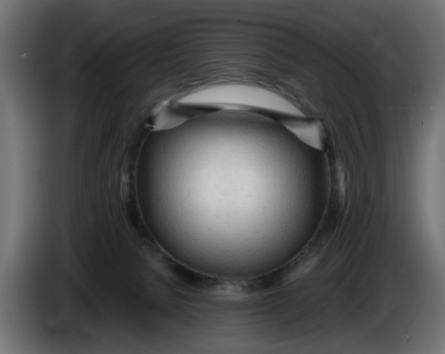 X0000083550080200703021702