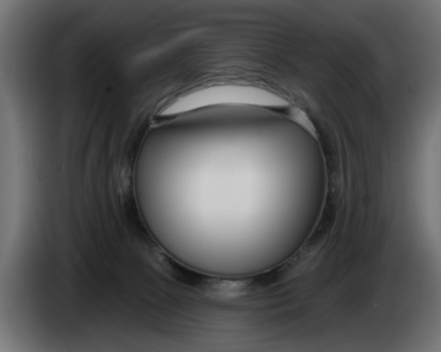 X0000083550081200703021702