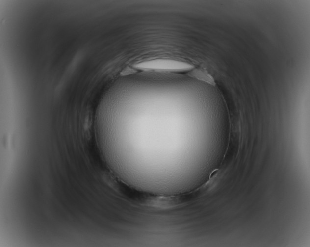 X0000083550082200703021702