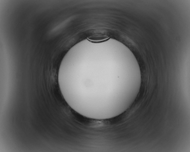 X0000083550083200703021702