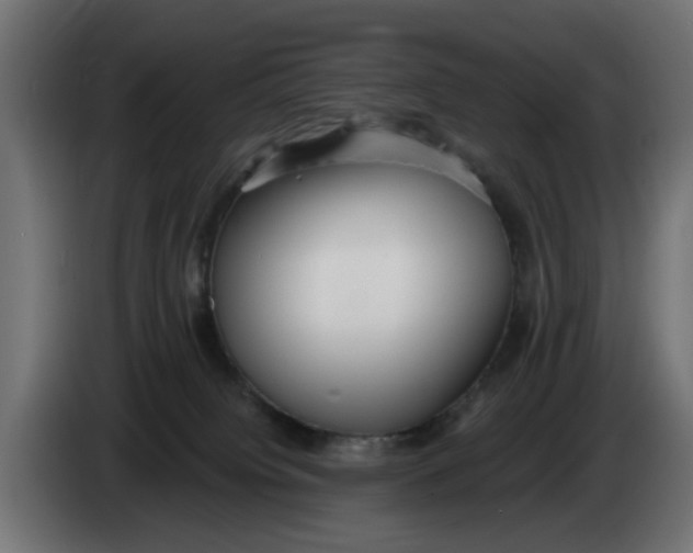 X0000083550084200703021703
