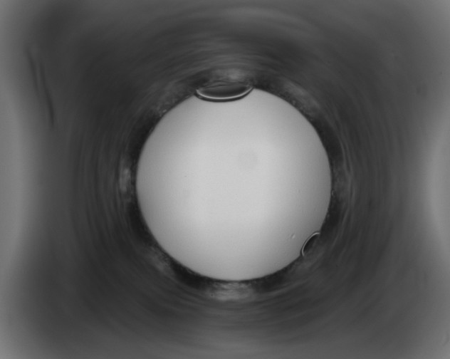 X0000083550087200703021703