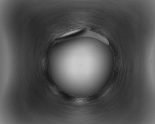 X0000083550088200703021703
