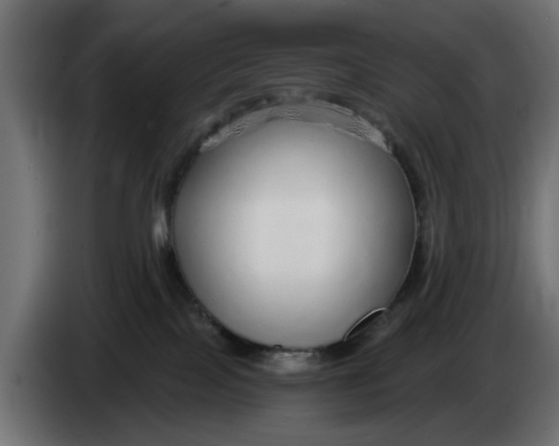 X0000083550089200703021703