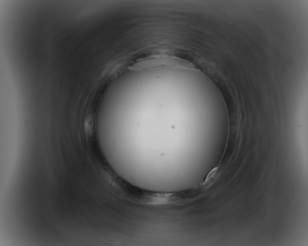 X0000083550090200703021703