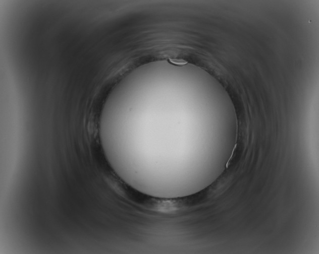 X0000083550091200703021703