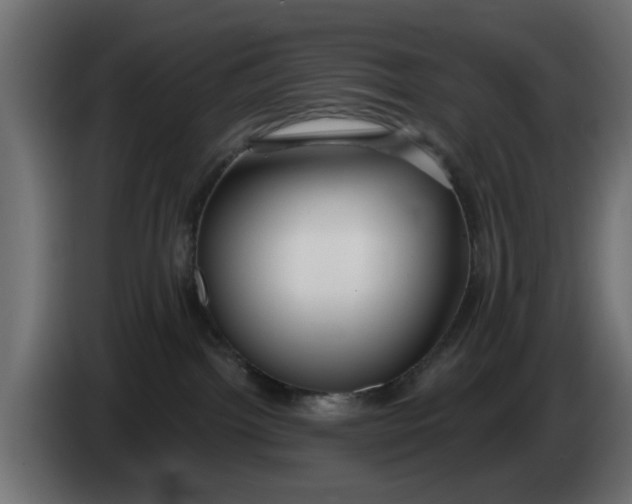 X0000083550092200703021703