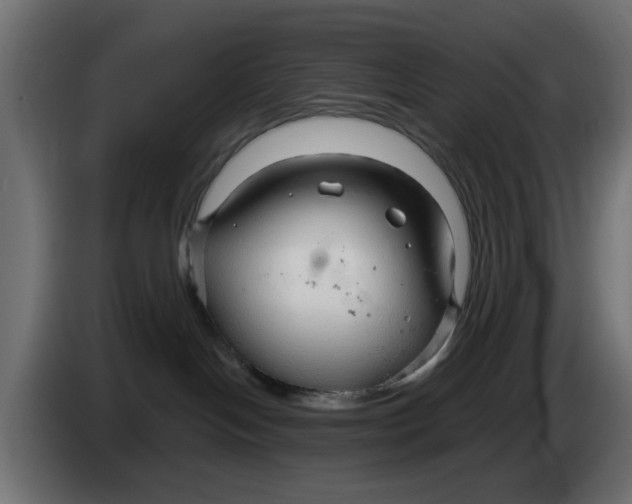X0000083550094200703021703