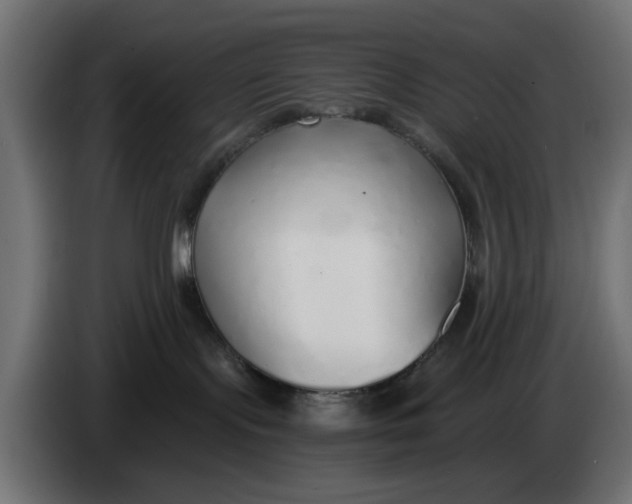 X0000083550095200703021703