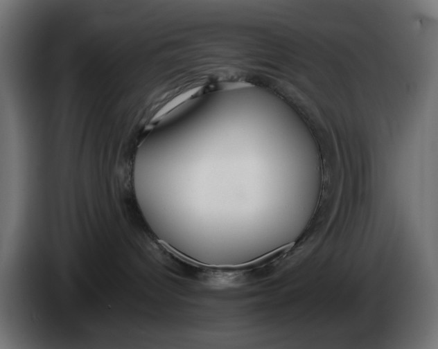 X0000083550096200703021703